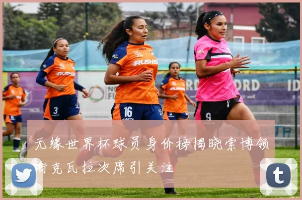 无缘世界杯球员身价榜揭晓索博领衔克瓦拉次席引关注