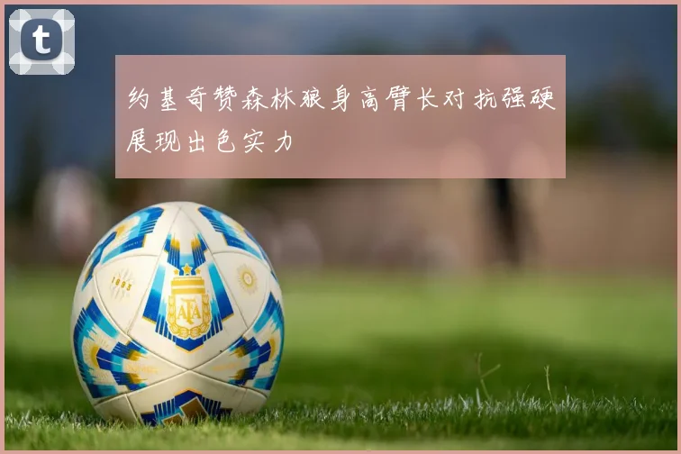 约基奇赞森林狼身高臂长对抗强硬展现出色实力